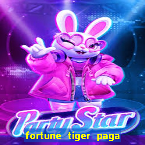 fortune tiger paga de madrugada